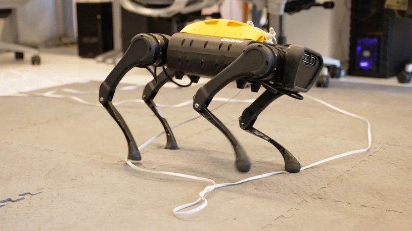 Robot wyposażony w moduł sztucznej inteligencji miał za zadanie nauczyć się sam chodzić /domena publiczna