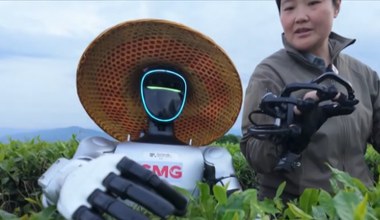 Roboty pracują z ludźmi w Chinach. Nowe możliwości i wyzwania dla rolnictwa