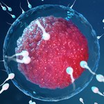 Robotyczne plemniki przyszłością leczenia niepłodności? Naukowcy zapowiadają przełom