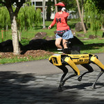 Robotyczny pies patroluje parki w Singapurze