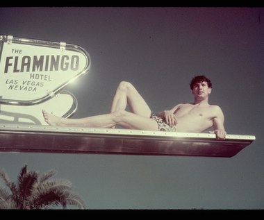 Rock Hudson urodził się 17 listopada 1925 roku w miejscowości Winnetka, w stanie Illinois w USA jako Roy Harold Scherer Jr. Był synem mechanika samochodowego i operatorki telefonicznej. W czasie II wojny światowej był na Filipinach, gdzie pracował jako mechanik samolotowy. Po wojnie wyjechał do Los Angeles i tam w 1948 roku dla kina odkrył go Henry Willson, łowca talentów w Hollywood. 

Ponoć Hudson nie był wybitnie zdolny, za to miał rewelacyjne warunki fizyczne i niski głos, a takiego bohatera filmowego wtedy szukano. Swój nowy pseudonim artystyczny Rock Hudson przyjął od nazwy skały Gibraltarskiej (Rock of Gibraltar) oraz rzeki Hudson.