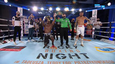 Rocky Boxing Night 8. Youri Kalenga - Michal Plesnik. Skrót walki (POLSAT SPORT). Wideo
