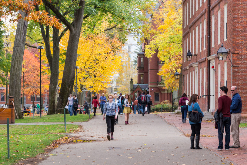 Roczny koszt studiowania na Harvardzie, wraz z opłatami za żywność i mieszkanie, kosztował w 2022 r. ponad 95 tys. dolarów /123RF/PICSEL
