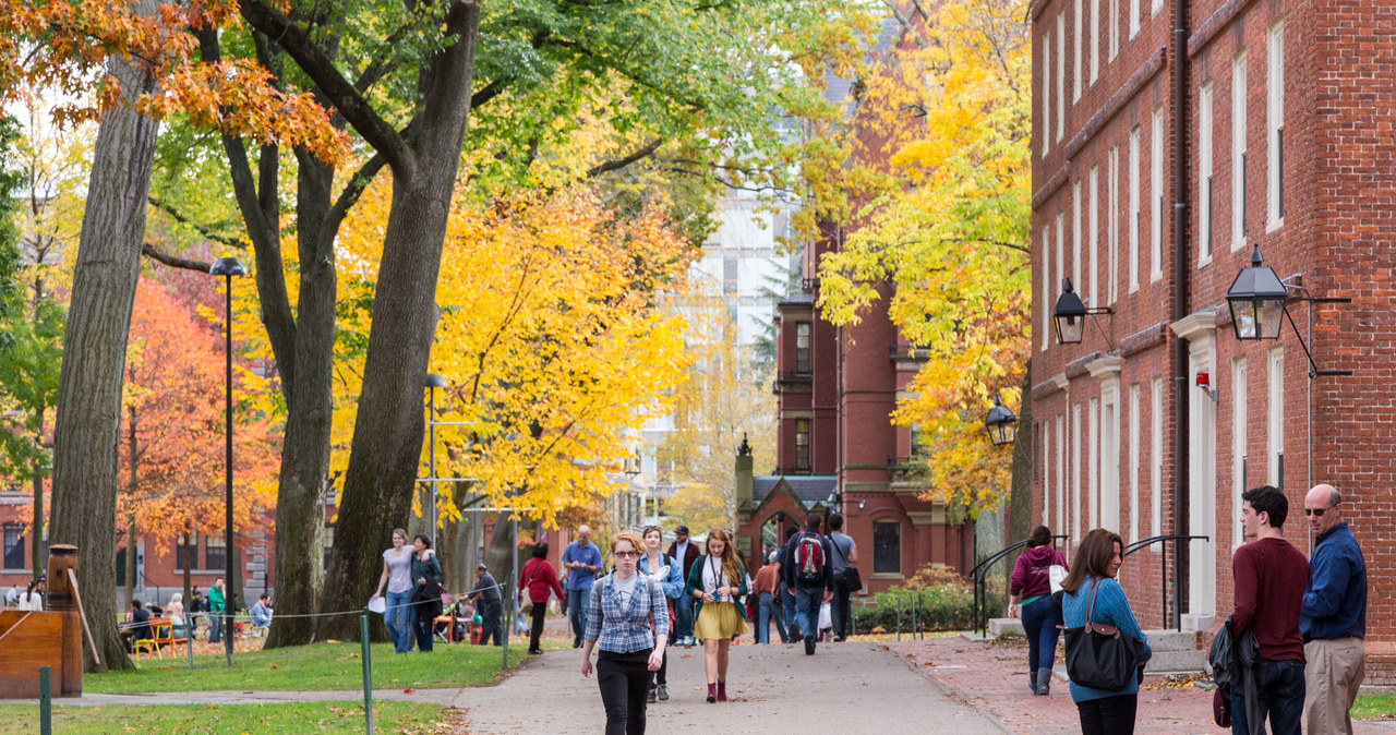 Roczny koszt studiowania na Harvardzie, wraz z opłatami za żywność i mieszkanie, kosztował w 2022 r. ponad 95 tys. dolarów /123RF/PICSEL