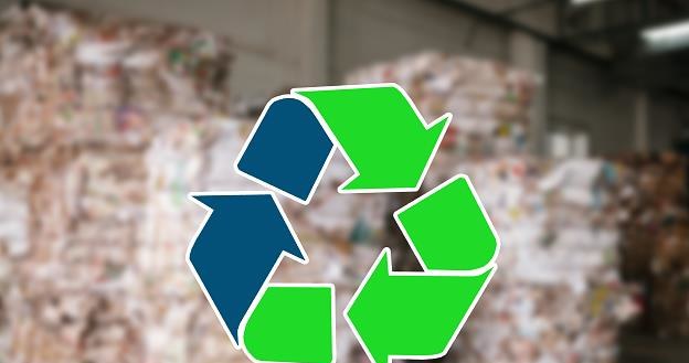 Rodacy mają duże problemy z segregacją śmieci /&copy;123RF/PICSEL