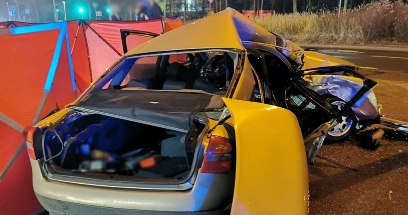 Rodzeństwo podróżujące Audi A6 zginęło na miejscu /Policja