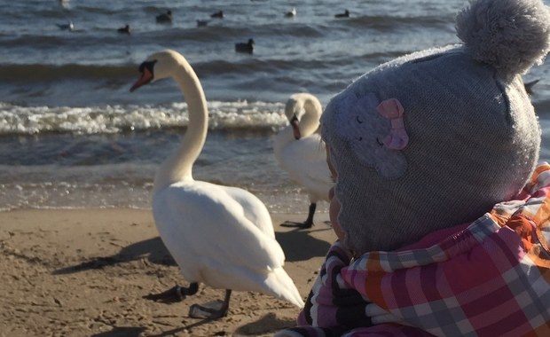 Rodzice i dzieci muszą wiedzieć, że z ADHD można sobie poradzić!