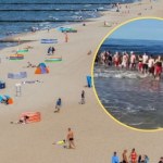 Rodzice pozwolili trzylatkowi samemu wejść do morza. Ratownicy utworzyli łańcuch życia