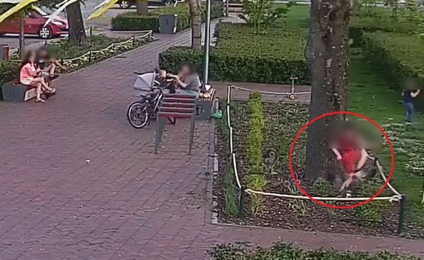 "Rodzice zajęci rozmową, dzieci beztrosko demolują klomby". Służby pokazały zdjęcia