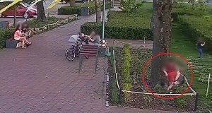 "Rodzice zajęci rozmową, dzieci beztrosko demolują klomby". Służby pokazły zdjęcia