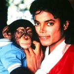 Rodzina Jacksona nie interesuje się szympansem piosenkarza