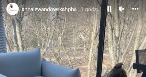 Rodzina Lewandowskich powiększyła się o uroczego pieska /www.instagram.com/annalewandowskahpba /Instagram