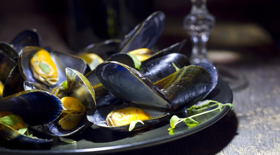 Tragedia na wakacjach w Turcji. Nie żyje dwójka dzieci i ich matka