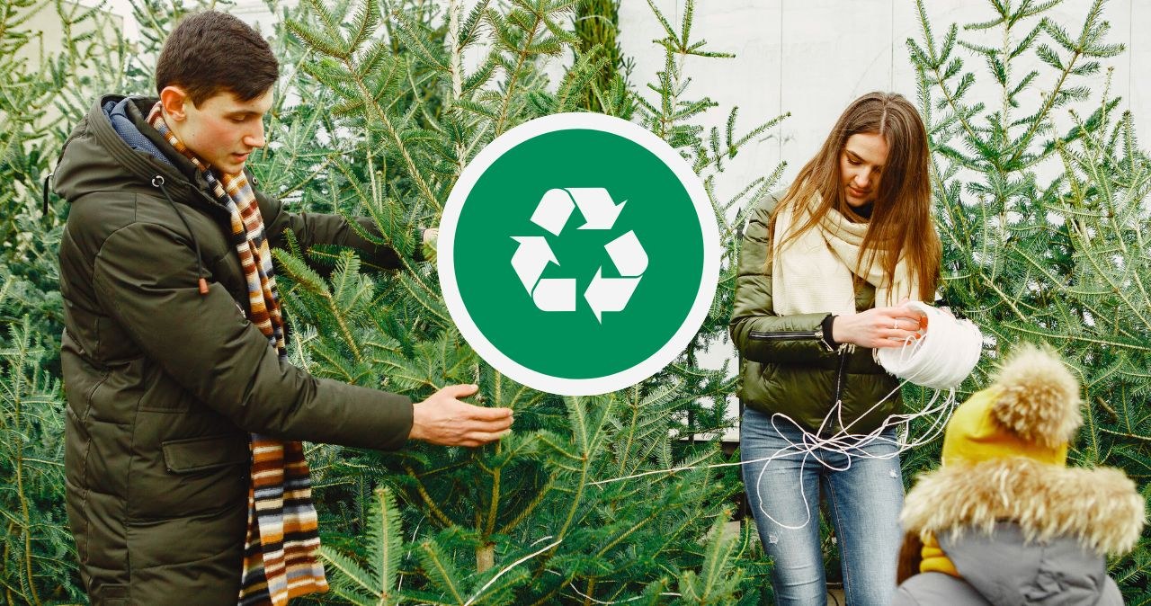 Rodzina przy naturalnych choinkach z symbolem recyklingu – segregacja i ekologiczne pozbywanie się choinki po świętach. /CanvaPro /INTERIA.PL
