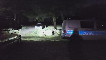 Rodzina zgubiła się w lesie. Ugrzęzła w bagnie