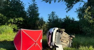 Rodzinna podróż zakończyła się tragedią. Samochód zderzył się z dzikiem