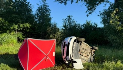 Rodzinna podróż zakończyła się tragedią. Samochód zderzył się z dzikiem