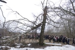 Rodziny katyńskie oddały hołd ofiarom katastrofy prezydenckiego tupolewa