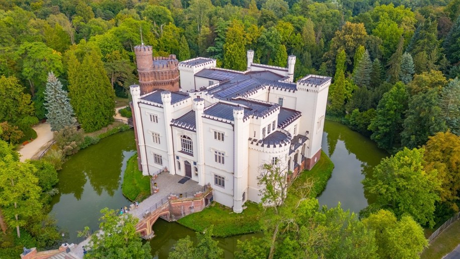 Róg jednorożca wraca do Kórnika – niezwykły eksponat znów na wystawie /Shutterstock