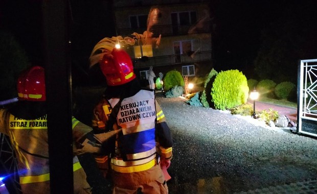 Rój os zaatakował mężczyznę. Gniazdo znajdowało się w ziemi