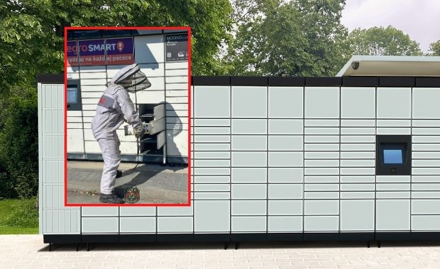 Rój pszczół w automacie paczkowym. Interweniowała straż pożarna