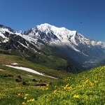 Rok od śmierci Polki na Mont Blanc nie przesłuchano organizatora wyprawy 