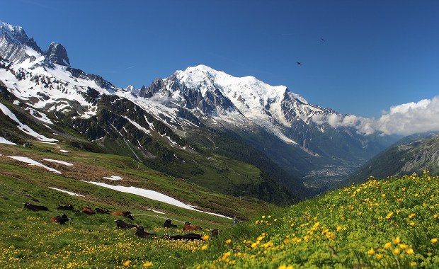 Rok od śmierci Polki na Mont Blanc nie przesłuchano organizatora wyprawy 