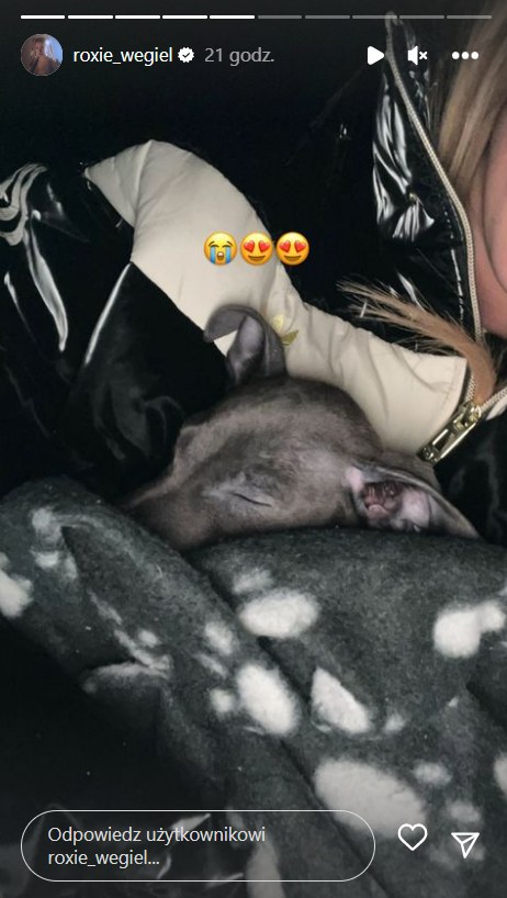 Roksana Węgiel adoptowała psa /Instagram