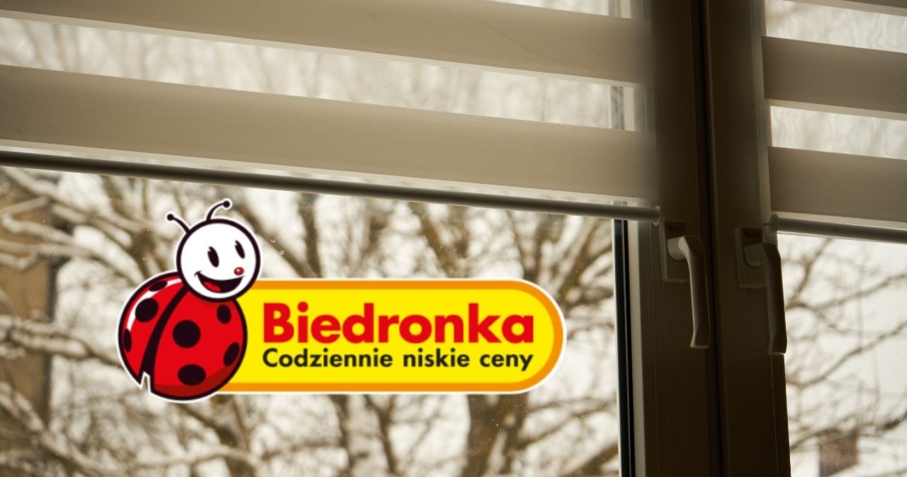 Rolety “dzień i noc” w Biedronce w niskiej cenie. Styl i funkcjonalność za grosze! /adobestock/Biedronka /INTERIA.PL