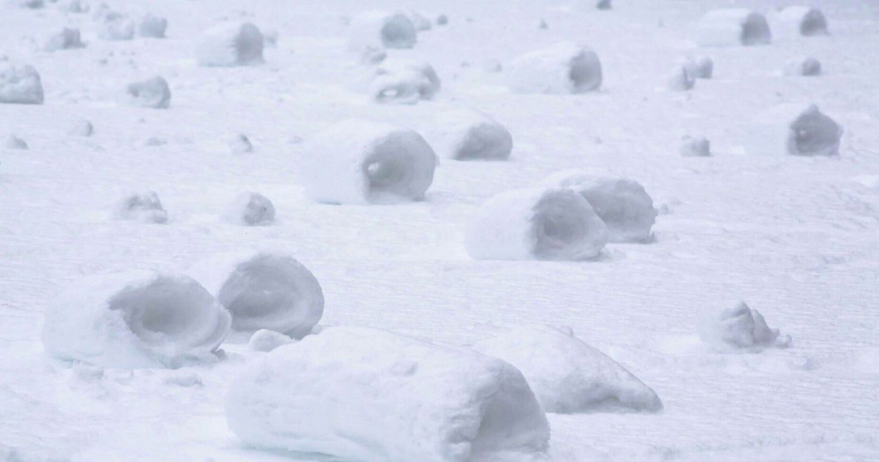 Rolki śnieżne w Polsce. Rzadkie zimowe zjawisko /David Chapman/Design Pics/East News /East News