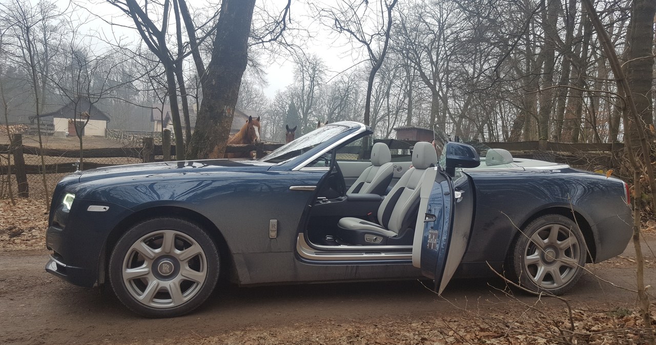 Rolls-Royce Dawn /INTERIA.PL