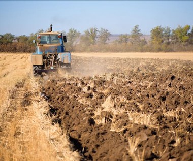 Rolnictwo. 20 procent pól w Ukrainie nie zostanie obsianych