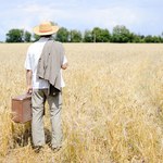 Rolnictwo. Będzie pomoc dla producentów zbóż