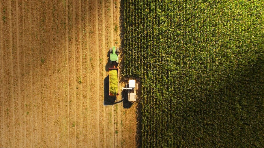 Rolnictwo zajmuje prawie połowę lądów na Ziemi, które nadają się do zamieszkania. /Shutterstock