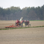 Rolnicy apelują do premiera ws. pracowników z Ukrainy