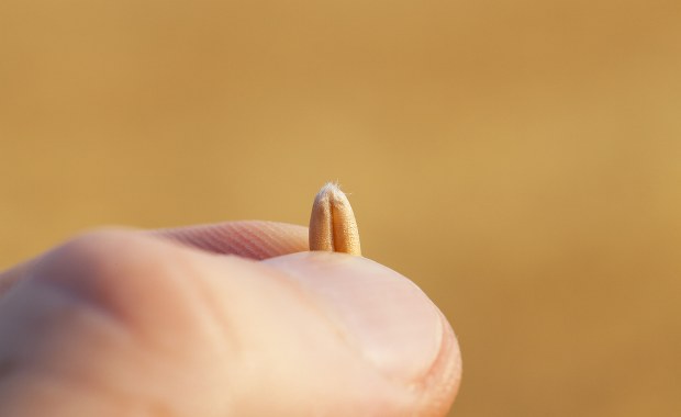 Rolnicy będą protestować w Olsztynie. "Walczymy o nasz byt"