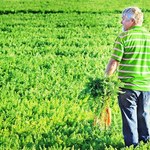 Rolnicy coraz częściej inwestują w ziemię