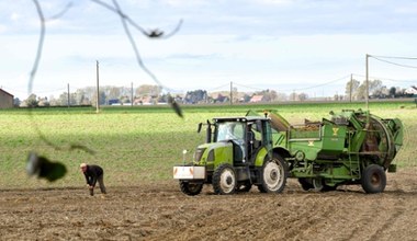 Rolnicy dostają pieniądze na konta. Zaliczki na dopłaty bezpośrednie