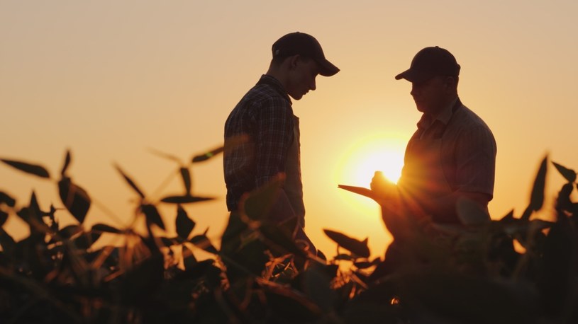 Rolnicy i sadownicy obawiają się tego, co spotka ich w 2021 roku /123RF/PICSEL