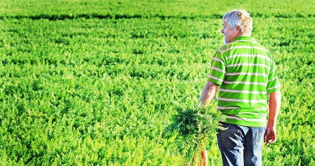 Rolnicy inwestują w ziemię /&copy;123RF/PICSEL