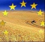Rolnicy liczą na środki z UE /RMF FM