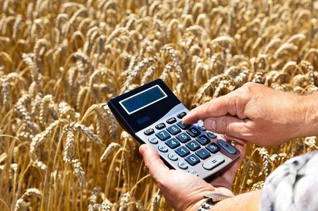 Rolnicy mają płacić podatek - inwestycje w gospodarstwo będą bardziej opłacalne /&copy;123RF/PICSEL