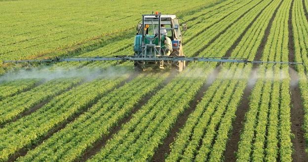 Rolnicy mogą już ubezpieczać uprawy na korzystniejszych warunkach /&copy;123RF/PICSEL