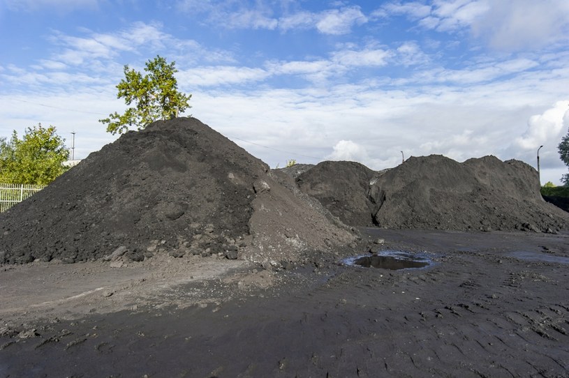 Rolnicy mogą kupić węgiel przeznaczoną dla nich ścieżką, poza sklepem internetowym. Zdjęcie ilustracyjne /Stanisław Bielski /Reporter
