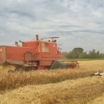 Rolnicy mówią o upadku gospodarstw. "Stajemy się śmietnikiem Europy"
