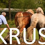 Rolnicy na KRUS mogą liczyć na wyższe dofinansowanie składek