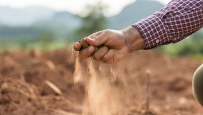 Rolnicy na południu Europy przygotowują się na suszę