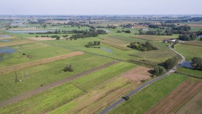Rolnicy piszą do Ardanowskiego. „Nie możemy godzić się na straty”