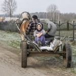 "Rolnicy.Podlasie": Co wydarzy się w nowym odcinku?