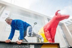 Rolnicy protestowali w Brukseli. Ulice pokryły setki kilogramów mleka w proszku